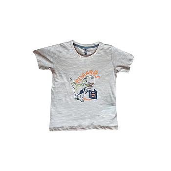 CAMISETA NIÑO ESTAMPADA BREAK DROLY